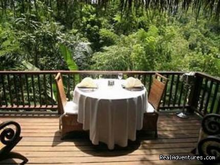 Nandini Jungle Resort & Spa Bali | Image #2/4 | 