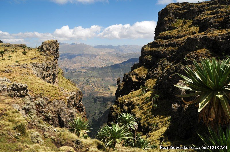 Trekking in Ethiopia/Semien Mountain trekking | Image #7/8 | 