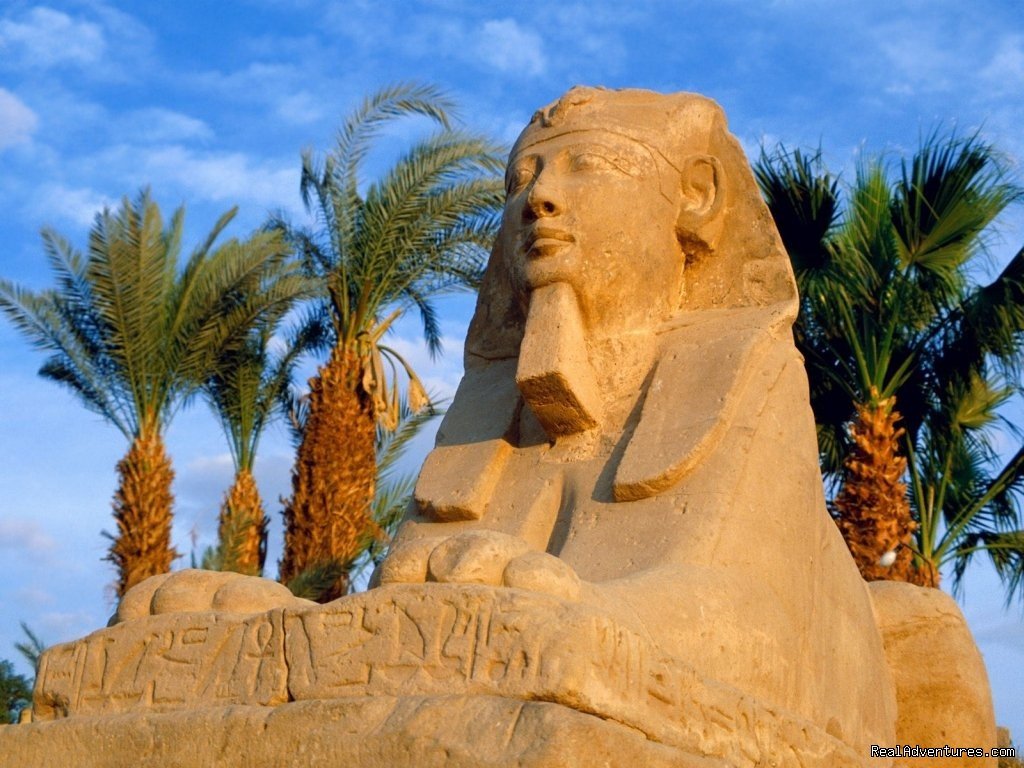 Nice trip to Egypt  | Image #2/3 | 