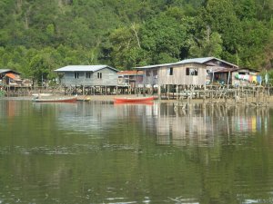 Mengkabong Water Village Mangrove River Cruise
