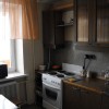 Minsk Central 1 bedroom Apartment Kitchen