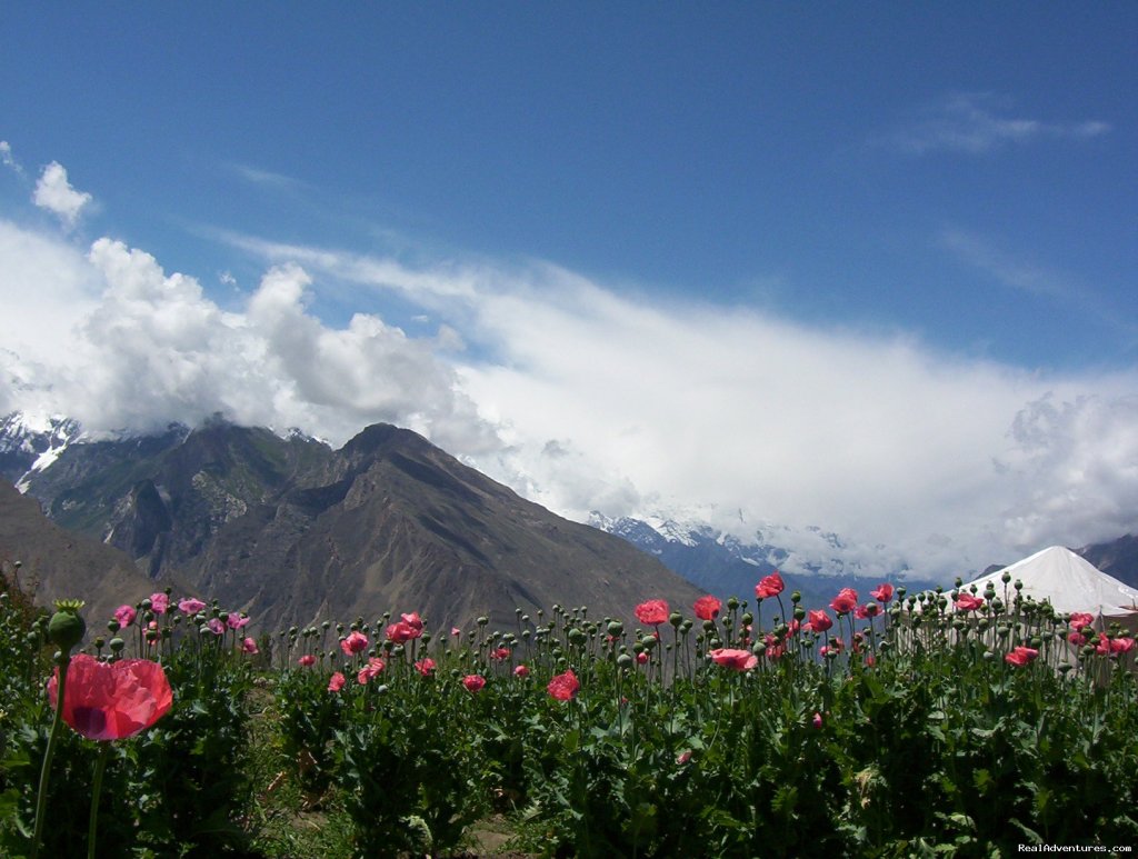 Hunza Valley Tour  | Image #5/6 | 