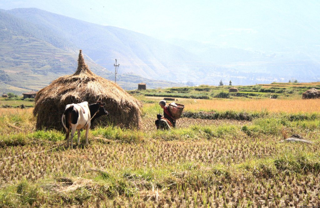 Farm Tours | Beautiful Bhutan | Image #11/15 | 