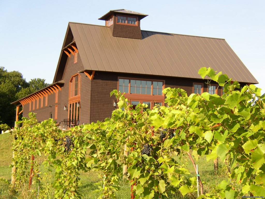 Shelburne Vineyard Winery and Tasting Room | Shelburne , Vermont  | Cooking Classes & Wine Tasting | Image #1/1 | 