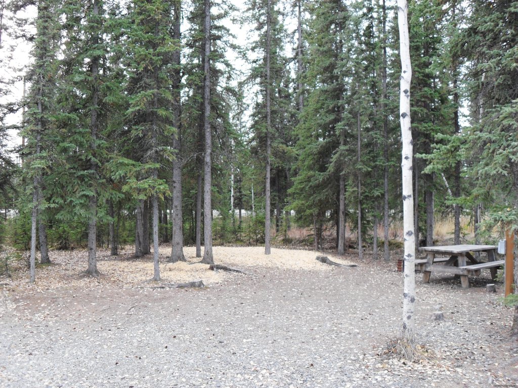 tent sites | Tok RV Village, Inc. | Tok, Alaska  | Campgrounds & RV Parks | Image #1/5 | 