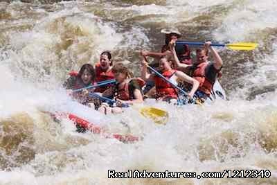 Los Rios River Runners: NM's Top-Rated Rafting Co. | Image #7/17 | 