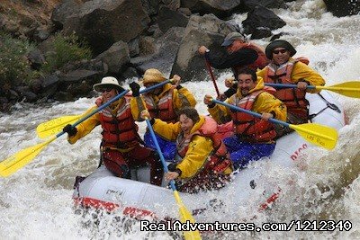 Los Rios River Runners: NM's Top-Rated Rafting Co. | Image #3/17 | 
