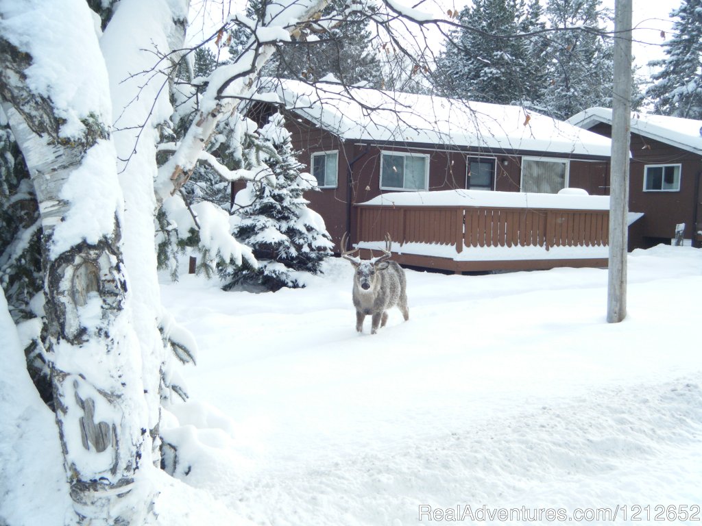 Winter at West Hawk Lake Resort | West Hawk Lake Cabin Rentals | Image #3/3 | 