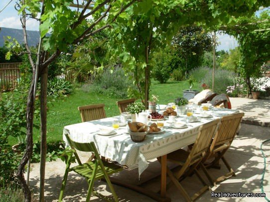 Breakfast outside under the Vines | GPS guided bike tour in spectacular Provence. | Image #6/7 | 
