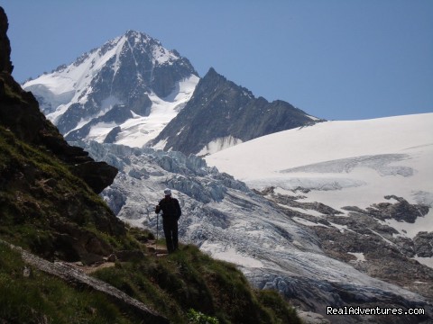 Guided Treks In The Swiss Alps Photo