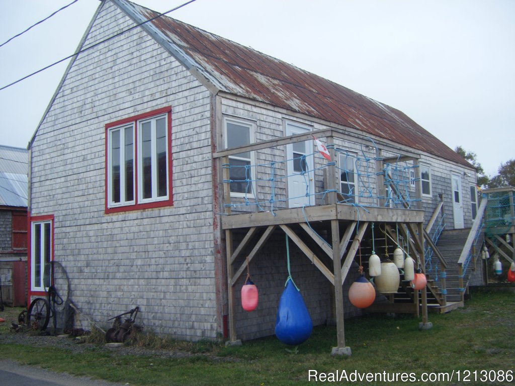 Seal Cove Beach Smokeshed Cottages | Image #6/6 | 