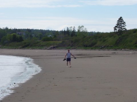 Beach Picture