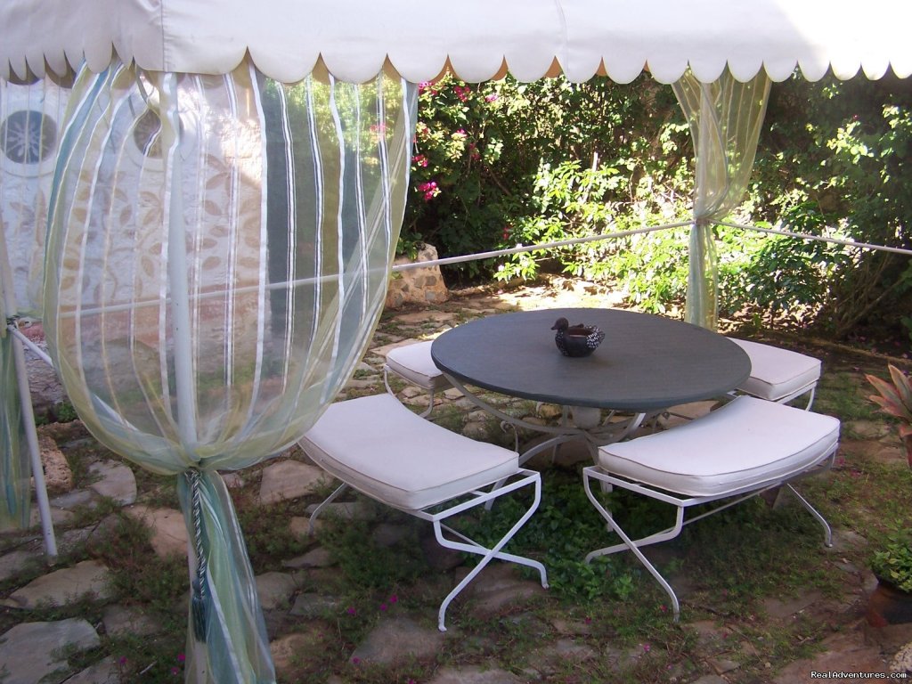 patio | Charming Villas in Kenya for vacation Holiday rent | Image #7/20 | 