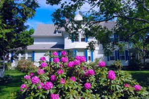 Atlantic Birches Inn | Old Orchard Beach, Maine Bed & Breakfasts | Great Vacations & Exciting Destinations