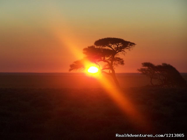 Bluecrane Safaris Namibia Photo