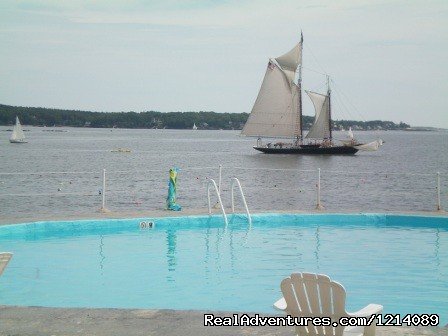Heated Salt Water Pool on the Edge of the Bay | New England's Only All-Inclusive Sailing Resort | Image #8/16 | 