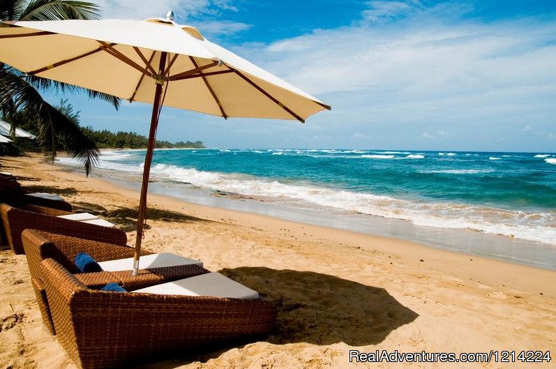 Villa Montana Beach | Villa Montana Beach Resort | Isabela, Puerto Rico | Hotels & Resorts | Image #1/23 | 