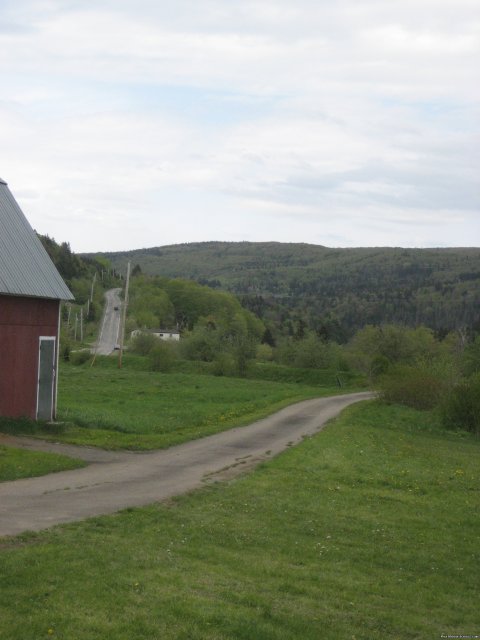 Driveway to Route 395