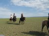 Altaimongoliatravel: Travels and Tours in Mongolia | Ulaanbaatar, Mongolia