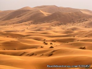 Morocco desert | Zagora , Morocco | Vacation Rentals