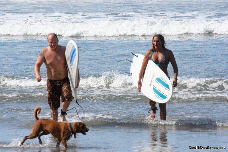 Surf Simply's Luxury Surf Coaching Resort | Image #5/23 | 