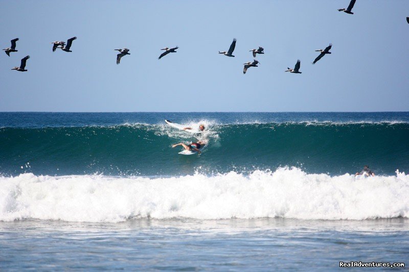 Surf Simply's Luxury Surf Coaching Resort | Image #7/23 | 