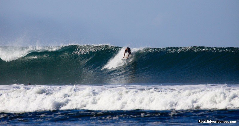 Surf Simply's Luxury Surf Coaching Resort | Image #20/23 | 
