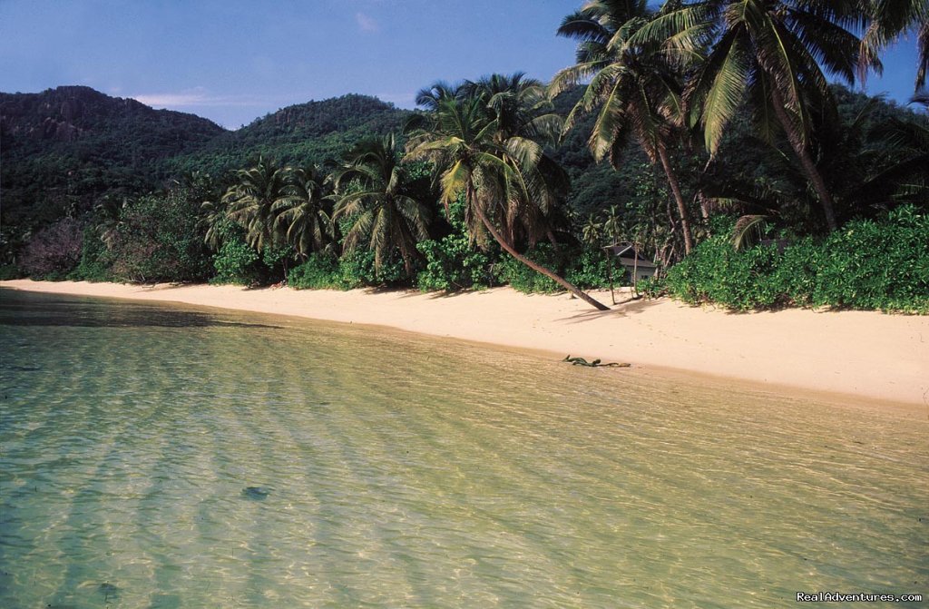 Anse Forbans Beach | Beach Bungalows in the Seychelles | Image #2/10 | 