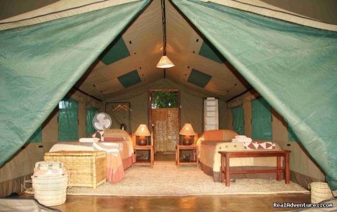 Luxury Safari Tent - Flatdogs, South Luangwa