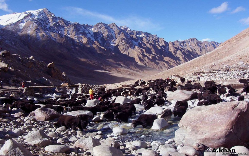 Shimsahl Pamir Pass Trek | Shimshal Pass( Kuch)Trek Hunza Pakistan | Image #5/21 | 