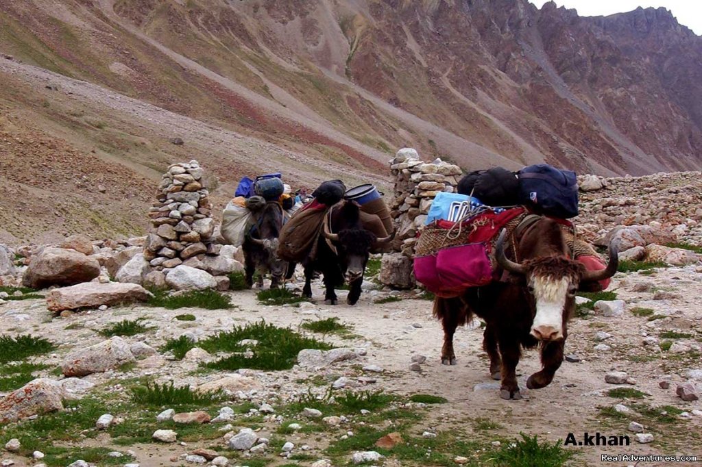 Shimsahl Pamir Pass Trek | Shimshal Pass( Kuch)Trek Hunza Pakistan | Image #6/21 | 