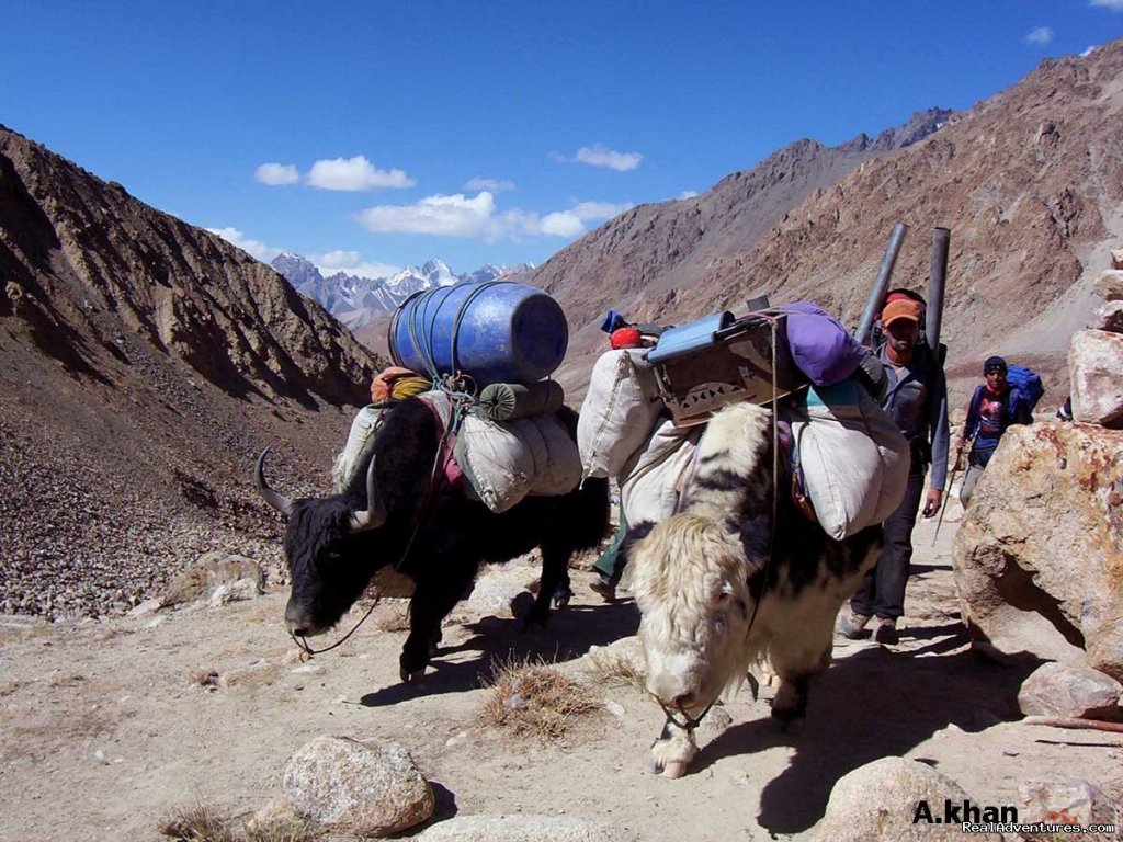 Shimsahl Pamir Pass Trek | Shimshal Pass( Kuch)Trek Hunza Pakistan | Image #8/21 | 