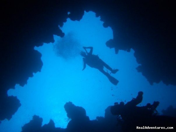 Dahab Diving | Image #10/21 | 