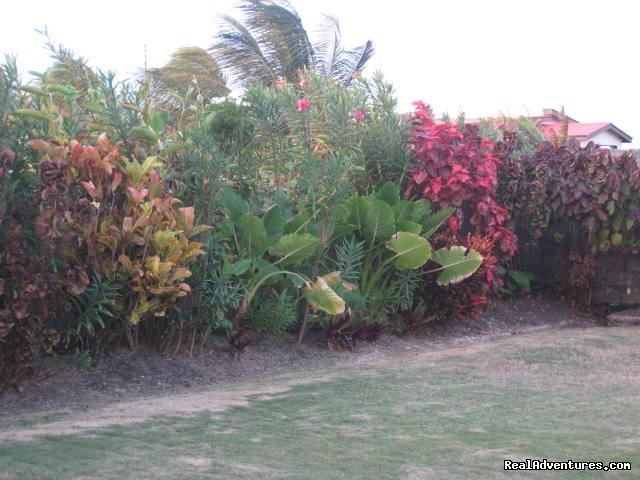 Tropical Gardens | SPECIAL MARCH RATE $199US 3 Bedroom @The Crane | Crane Beach, Barbados | Vacation Rentals | Image #1/6 | 