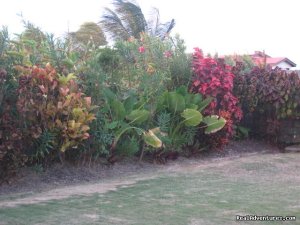 SPECIAL MARCH RATE $199US 3 Bedroom @The Crane | Crane Beach, Barbados | Vacation Rentals