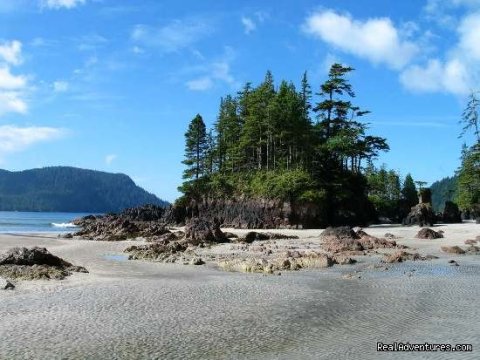 Picturesque Islet on the North Coast Trail