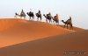 Real Camel Trekking & walking holidays in morocco | Marrakech , Morocco
