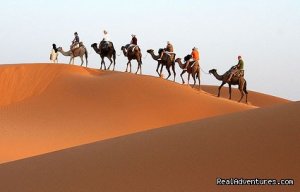 Real Camel Trekking & walking holidays in morocco