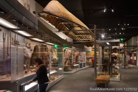 Extensive exhibits on the Diverse Native Cultures of Alaska