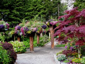Alaskan Botanical Garden Adventures