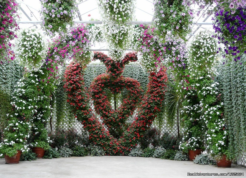 Floral Heart | Alaskan Botanical Garden Adventures | Image #3/4 | 