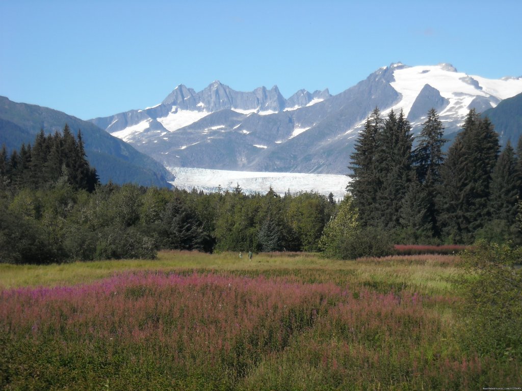 Juneau's Best Tour | Mendenhall Glacier Transport/ Mighty Great Trips | Image #3/3 | 