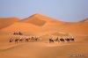 Camel trekking Morocco / ride camel in desert, | Marrakech, Morocco