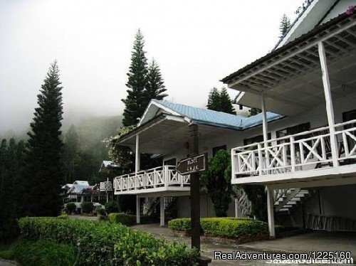 Kinabalu Pine Resort | 3D 2N Kundasang + KK City Tour | Kota Kinabalu, Malaysia | Sight-Seeing Tours | Image #1/4 | 