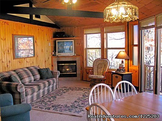 The Treehouse, Villa #1, Livingroom | Spirit Mountain Villas - Duluth Four Season Resort | Image #9/11 | 