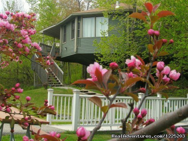 Mama Bear's Den, Villa #11, in the Spring | Spirit Mountain Villas - Duluth Four Season Resort | Image #2/11 | 