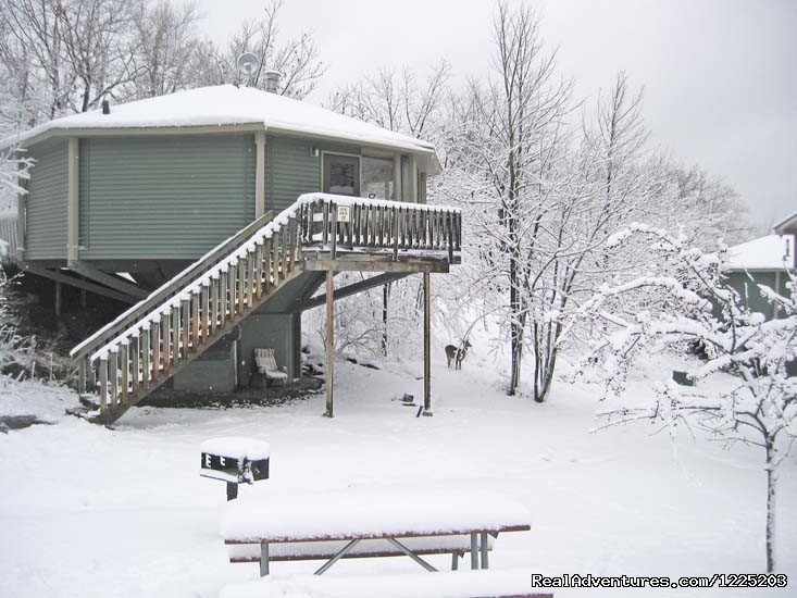 Fox Den, Villa #12, and a white-tail deer in the Winter | Spirit Mountain Villas - Duluth Four Season Resort | Image #6/11 | 