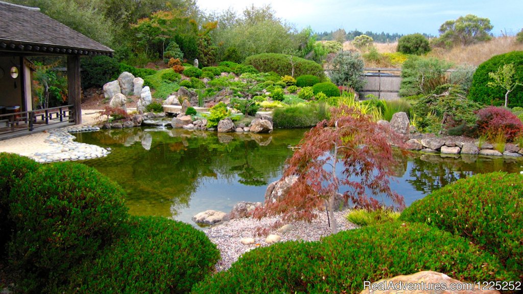 Kyoto-style Meditation Garden | Osmosis Day Spa Sanctuary | Image #7/10 | 