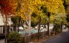 Modern Boutique Hotel In The Russian River Valley | Guerneville, California