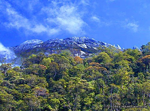 Kinabalu Park | 2D/1N Kinabalu Park/Mesilau/Sabah tea | Image #3/8 | 